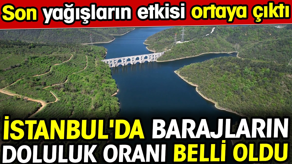 İstanbul'da son yağışların barajlara etkisi ortaya çıktı