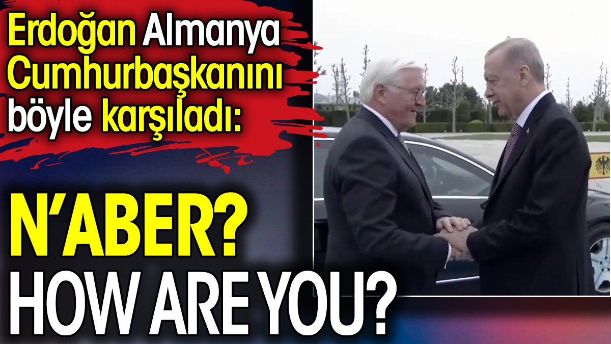 N'aber? How are you? Erdoğan'dan Steinmeier'e