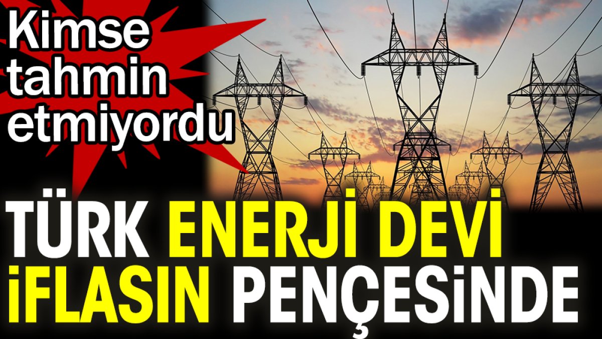 Türk enerji devi iflasın pençesinde. Kimse tahmin etmiyordu
