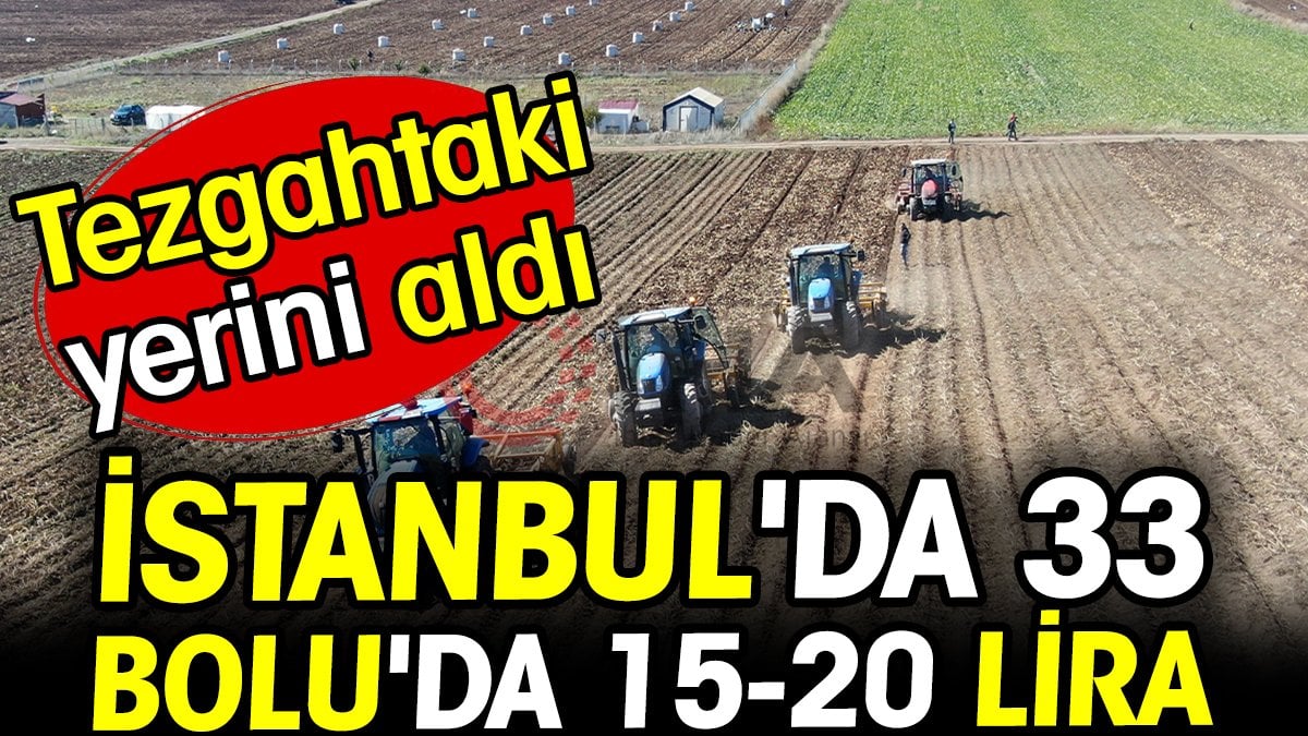 İstanbul'da 33, Bolu'da 15-20 lira! Tezgahlara geldi...