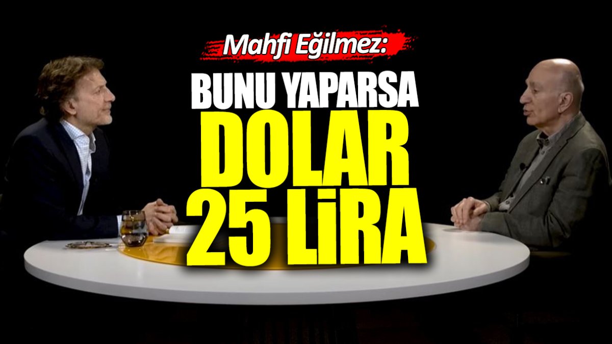 Mahfi Eğilmez: Bu yapılırsa dolar 25 lira olur