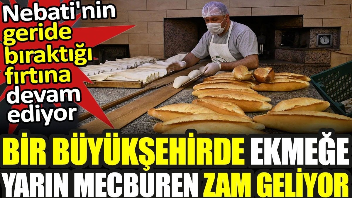 Nebati'nin geride bıraktığı fırtına devam ediyor. Bir büyükşehirde ekmeğe mecburen zam geliyor.