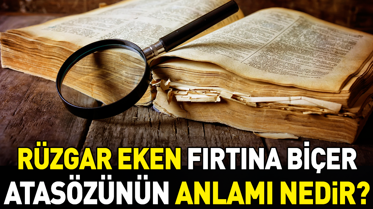 Rüzgar eken fırtına biçer atasözünün anlamı nedir?