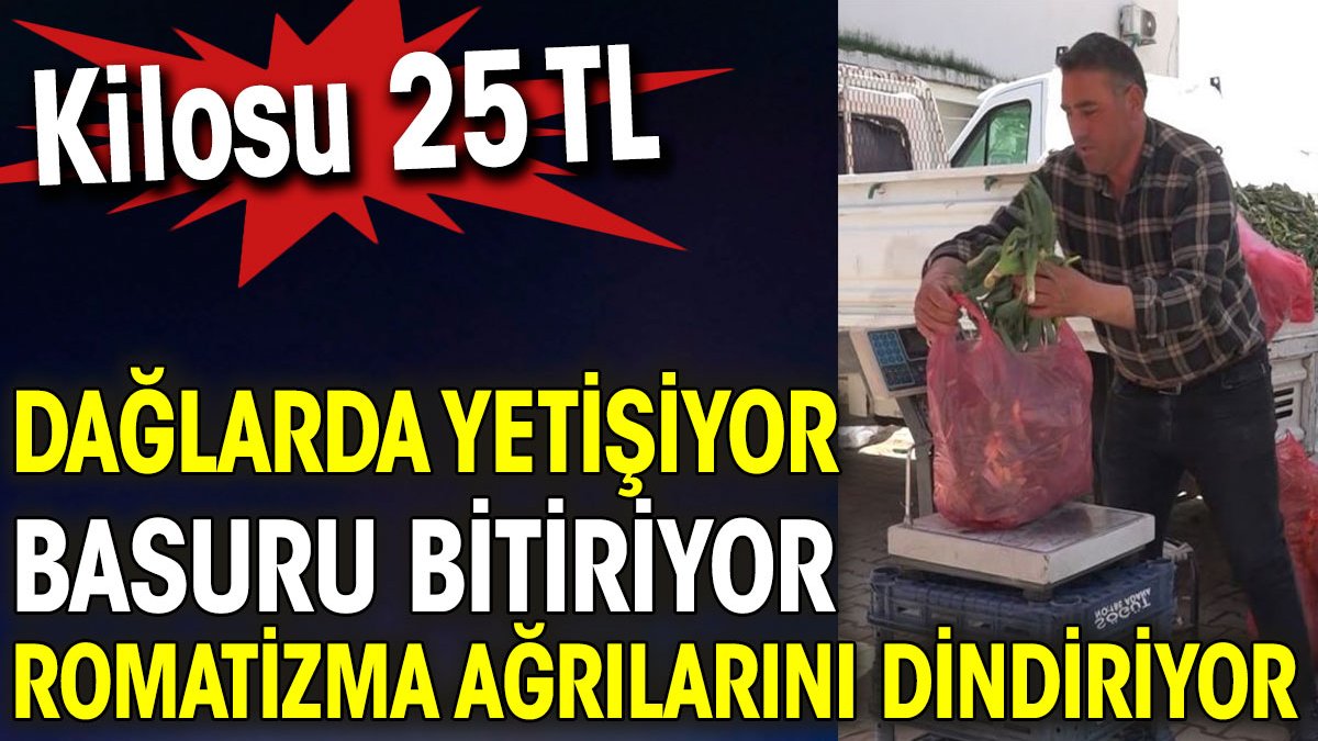 Dağlarda yetişiyor basuru bitiriyor romatizma ağrılarını dindiriyor. Kilosu 25 TL