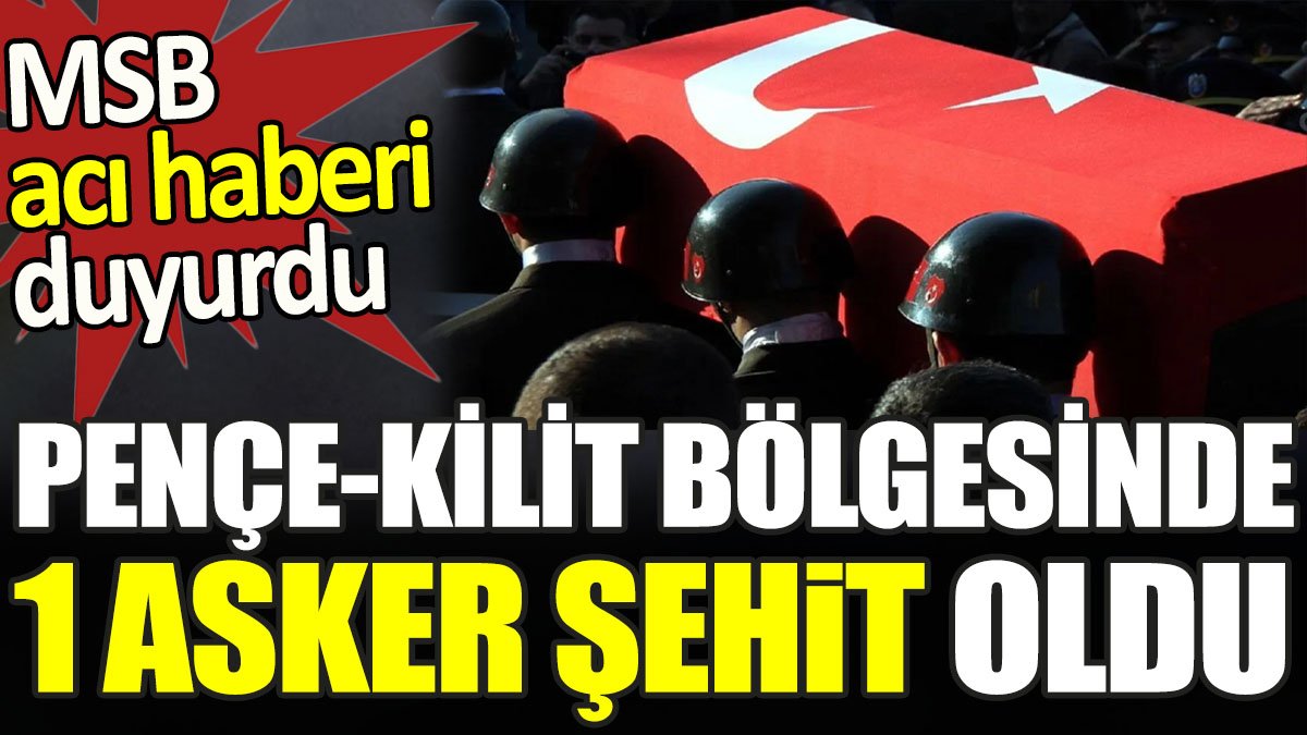 Son dakika... Pençe-Kilit bölgesinde bir asker şehit oldu