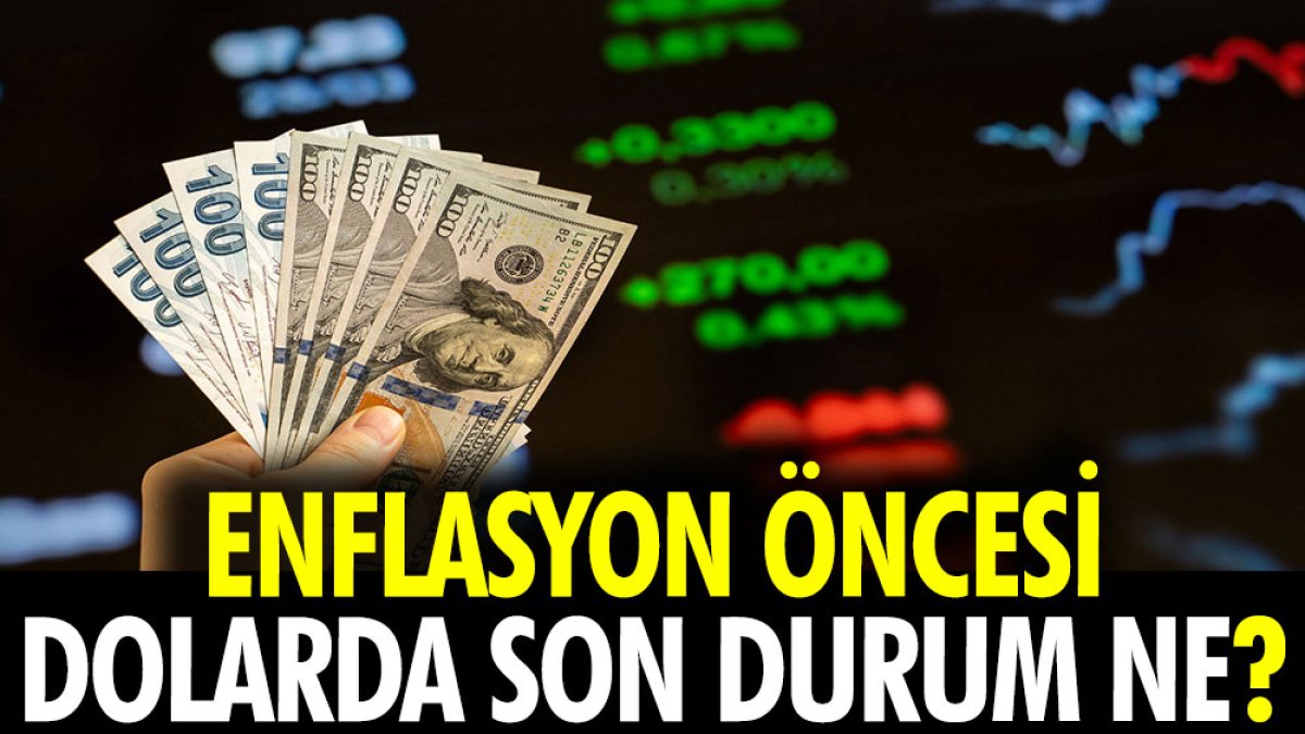 Enflasyon öncesi dolarda son durum ne?