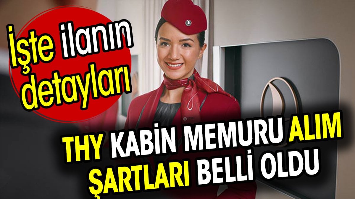 THY kabin memuru başvuru şartları neler? Nasıl başvurulur? İşte detaylar...