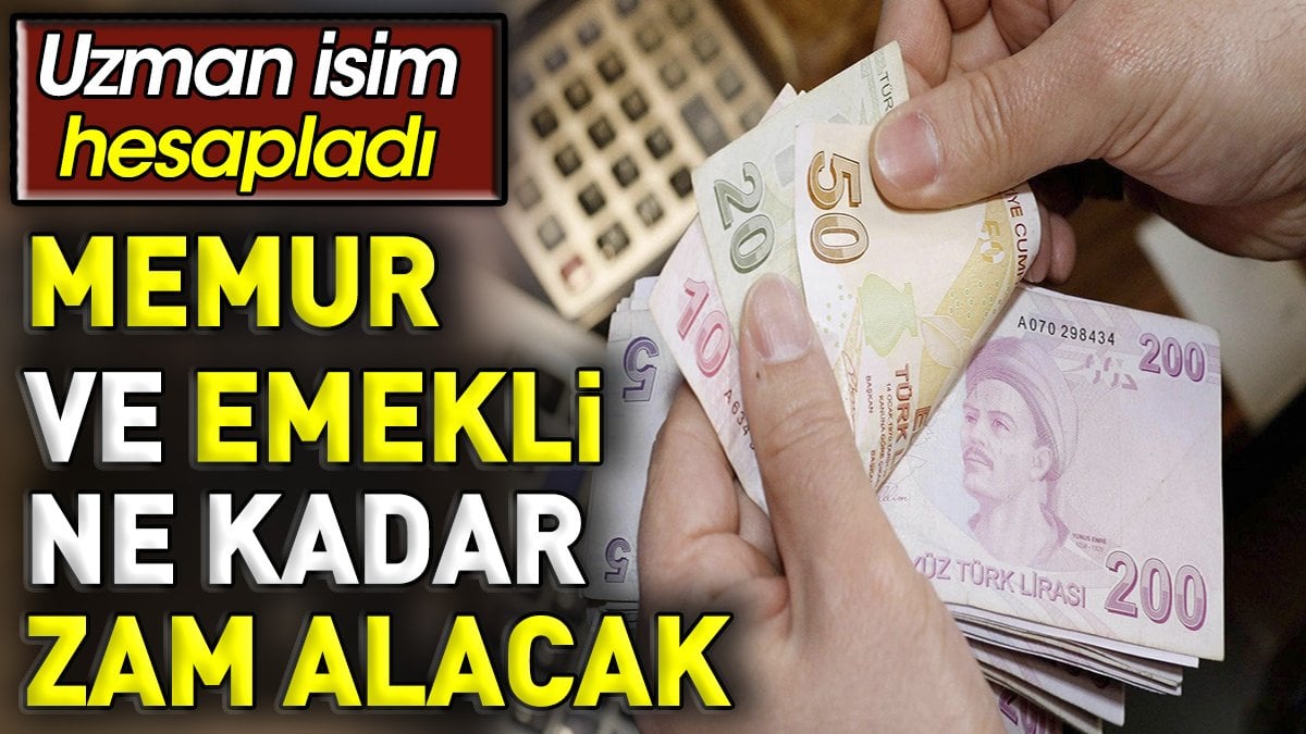 Memur ve Emekli ne kadar zam alacak? Uzman isim hesapladı