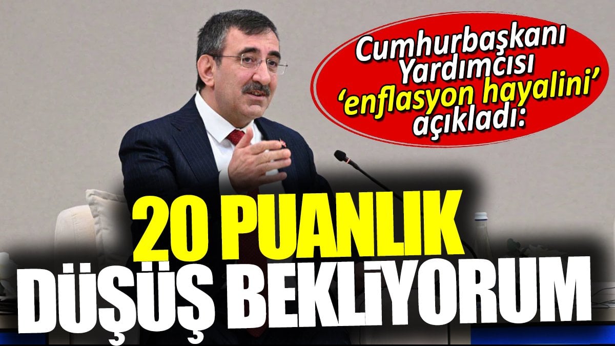 Cumhurbaşkanı Yardımcısı enflasyon hayalini açıkladı: 20 puanlık düşüş bekliyorum