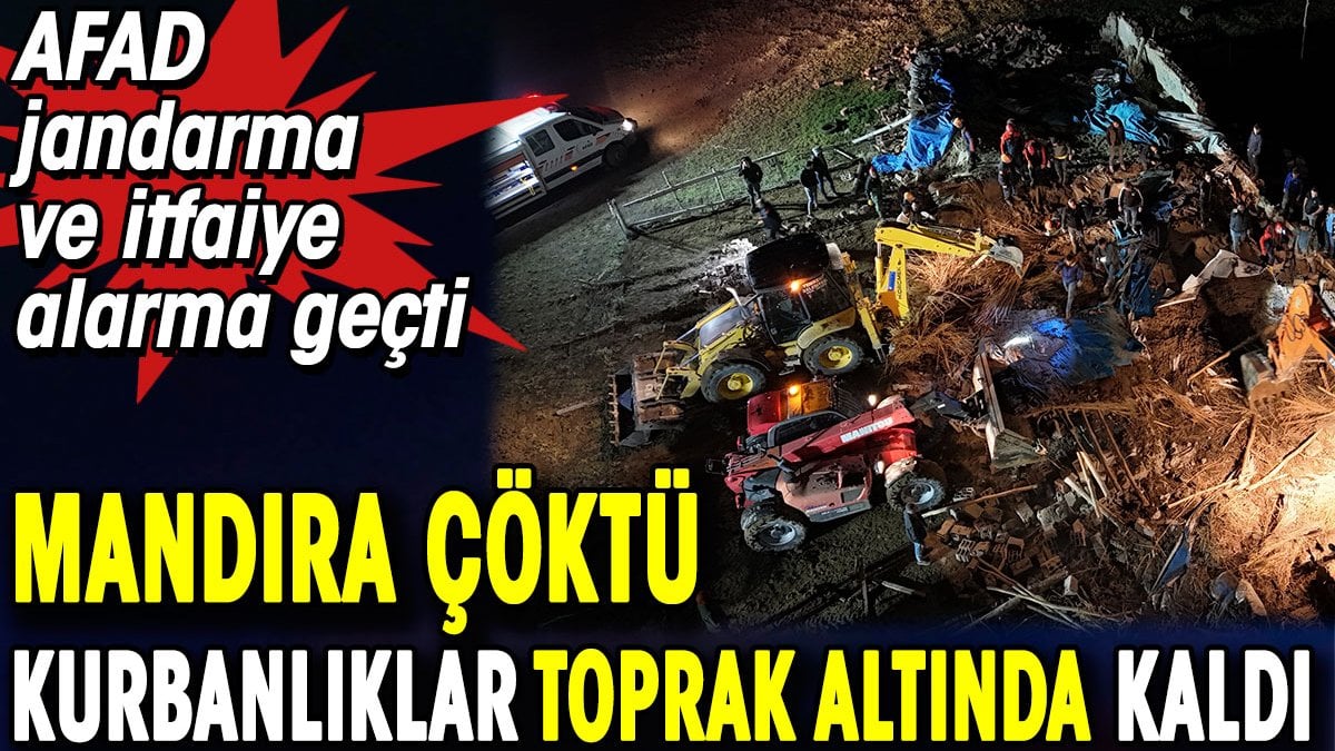 Aksaray’da mandıra çöktü kurbanlıklar toprak altında kaldı. AFAD jandarma ve itfaiye alarma geçti