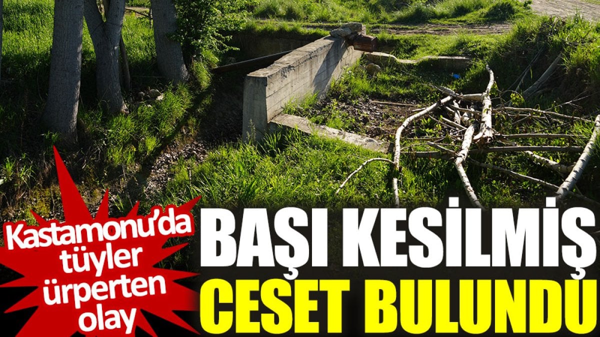 Kastamonu'da tüyler ürperten olay: Başı kesilmiş ceset bulundu