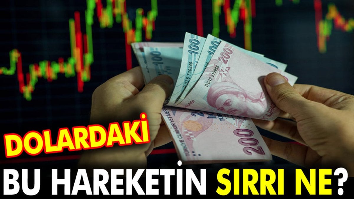 Dolardaki bu hareketin sırrı ne?