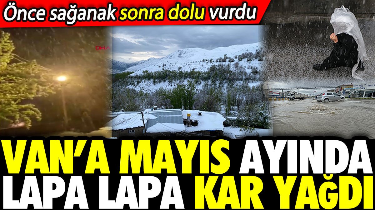 Van’a mayıs ayında lapa lapa kar yağdı! Önce sağanak sonra dolu vurdu