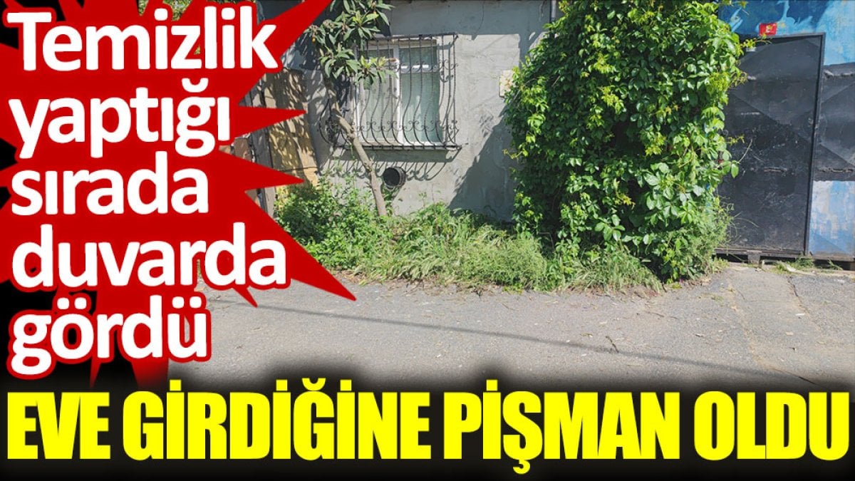 Sultangazi'de eve giren akrep paniğe neden oldu