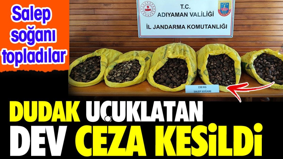 Salep soğanı topladılar. Dudak uçuklatan cezayla karşılaştılar