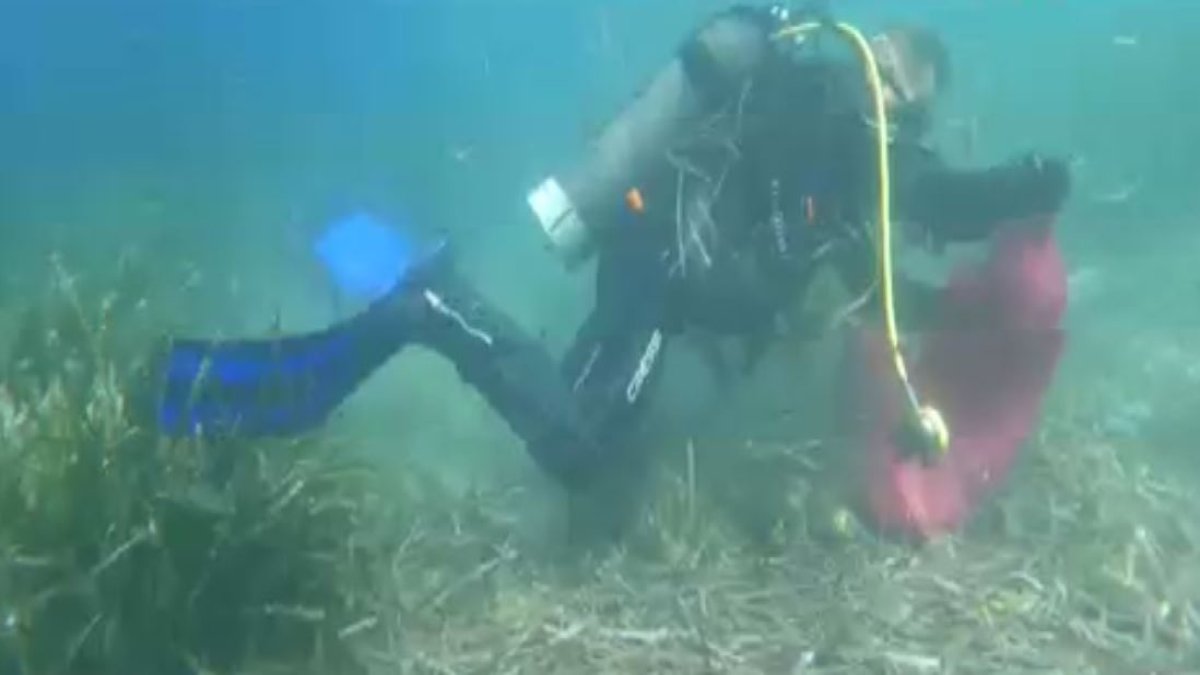 Muğla Bodrum'da deniz dibi atık temizliği