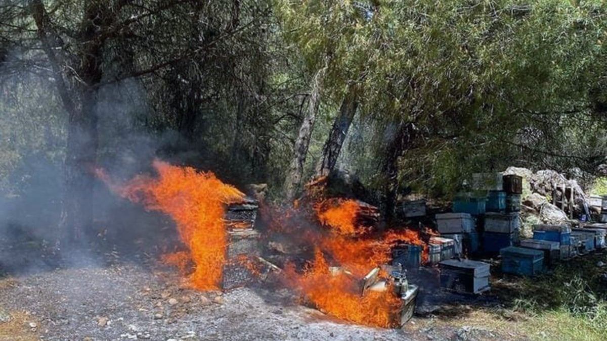 Muğla'da arı kovanları yandı