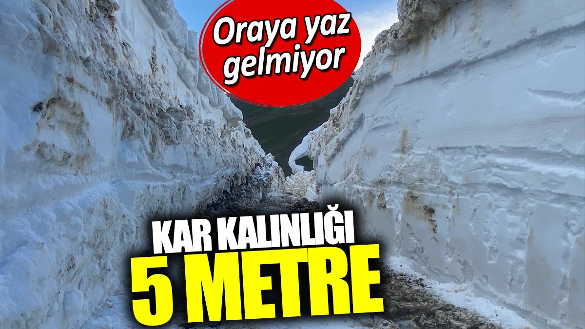 Kar kalınlığı 5 metreyi buldu. Oraya yaz gelmiyor