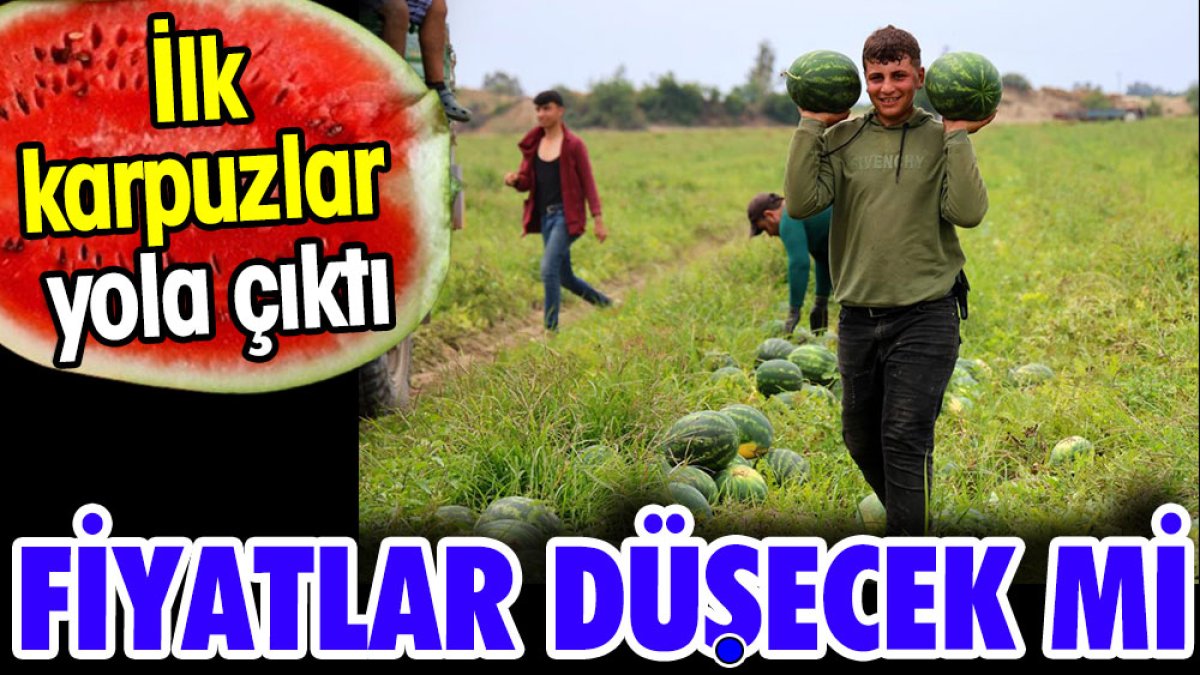 İlk karpuzlar yola çıktı. Fiyatlar düşecek mi?