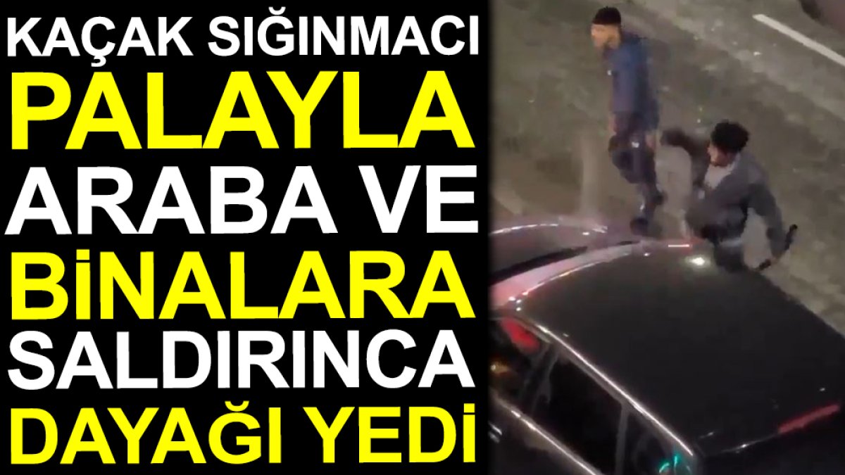 Kaçak sığınmacı palayla araba ve binalara saldırınca dayağı yedi