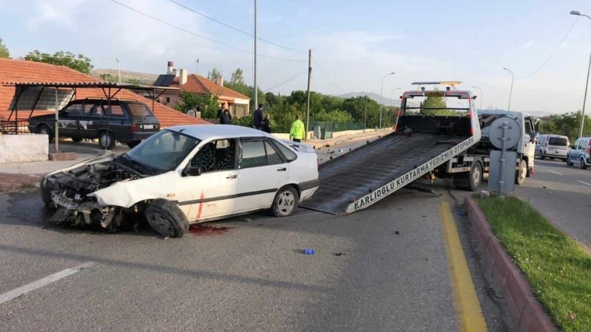 Yola çıkan köpek sonu oldu