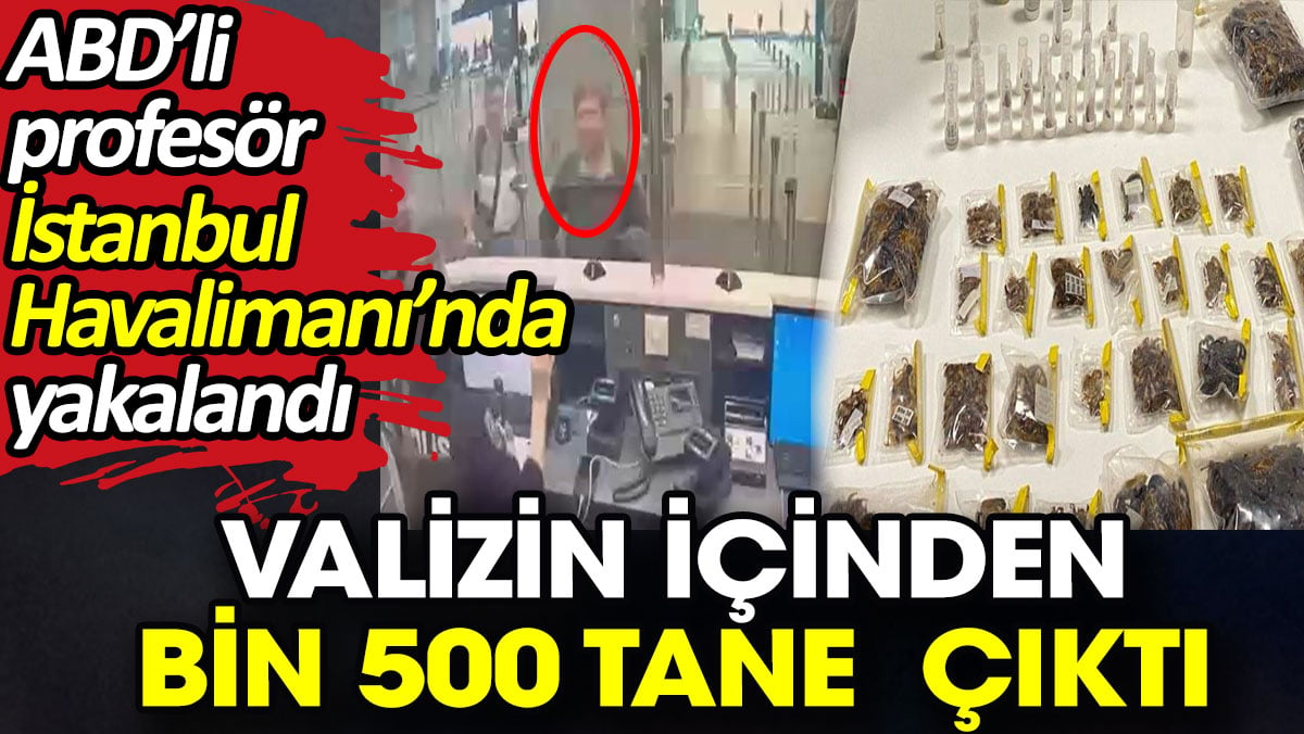 Valizin içinden bin 500 tane çıktı. ABD’li profesör İstanbul Havalimanı’nda yakalandı