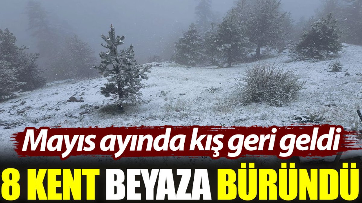 Mayıs ayında kış geri geldi: 8 kent beyaza büründü