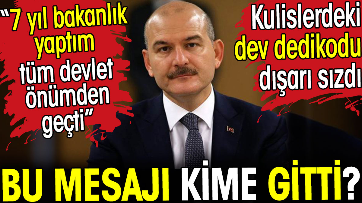 Süleyman Soylu Saray’ı kızdıracak açıklama yaptı. Bu mesajı kime gitti?