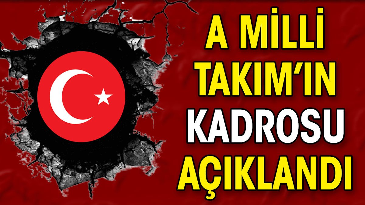 A Milli Takım'ın kadrosu belli oldu