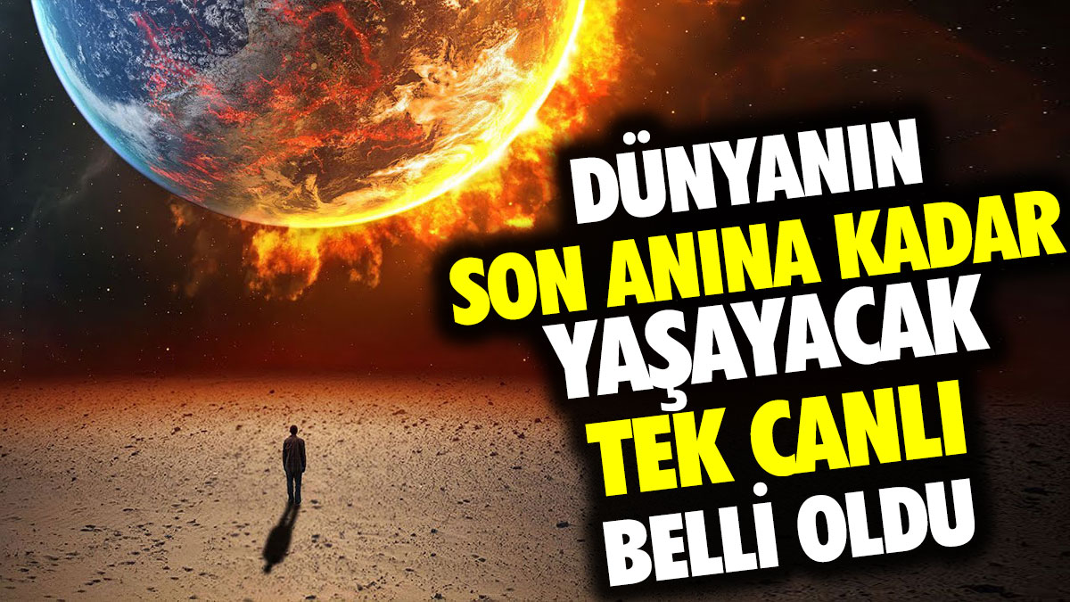 Dünyanın son anına kadar yaşayacak tek canlı belli oldu