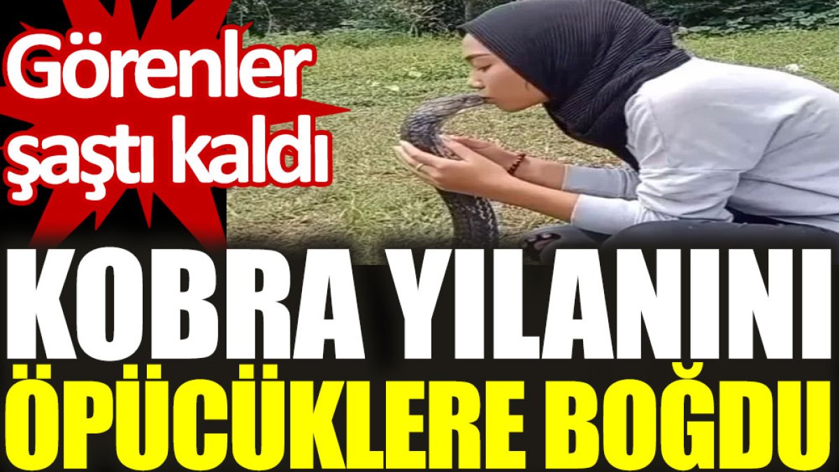 Kobra yılanını öpücüklere boğdu: Görenler şaşırıp kaldı