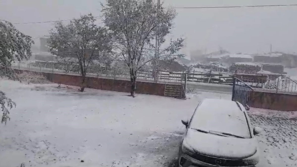 Erzurum'da kar yağışı