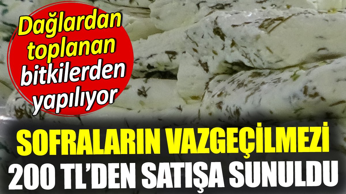 Sofraların vazgeçilmezi 200 TL'den satışta! Dağlardan toplanan bitkilerden yapılıyor