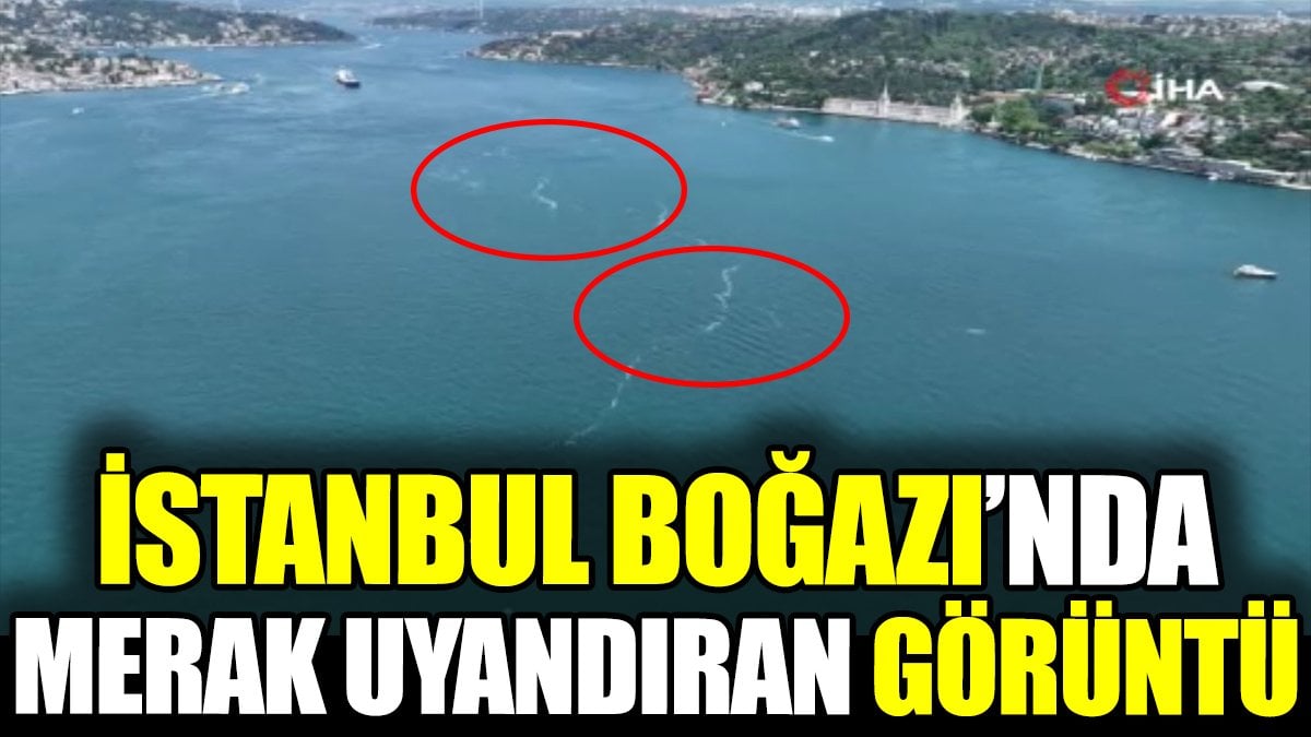 İstanbul Boğazı’nda merak uyandıran görüntü