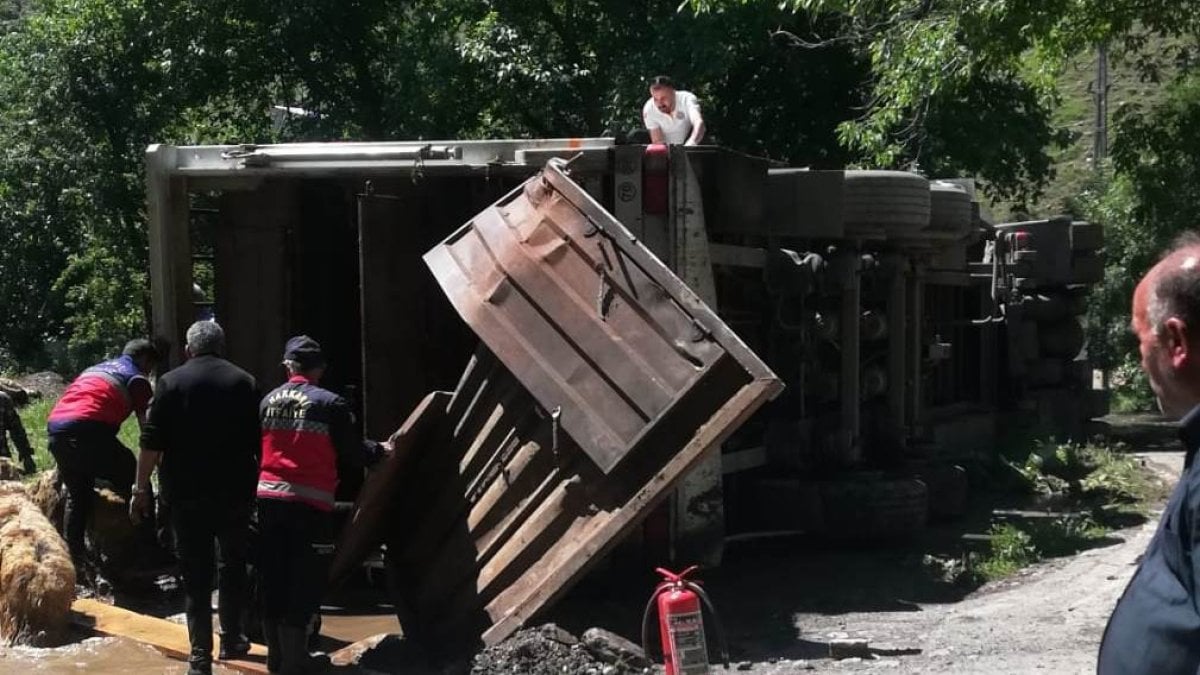 Hakkari'de tır devrildi, onlarca koyun telef oldu