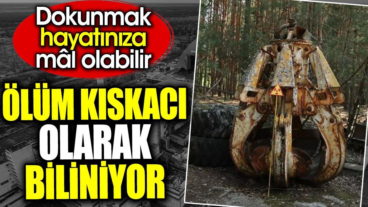 Ölüm kıskacı olarak biliniyor. Dokunmak hayatınıza mal olabilir