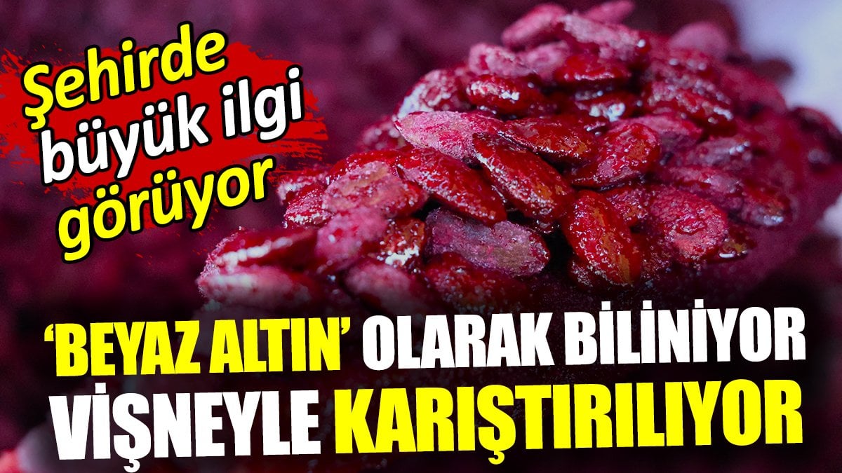 Beyaz altın olarak biliniyor vişneyle karıştırılıyor! Büyük ilgi gören yiyeceğin kilosu 250 TL