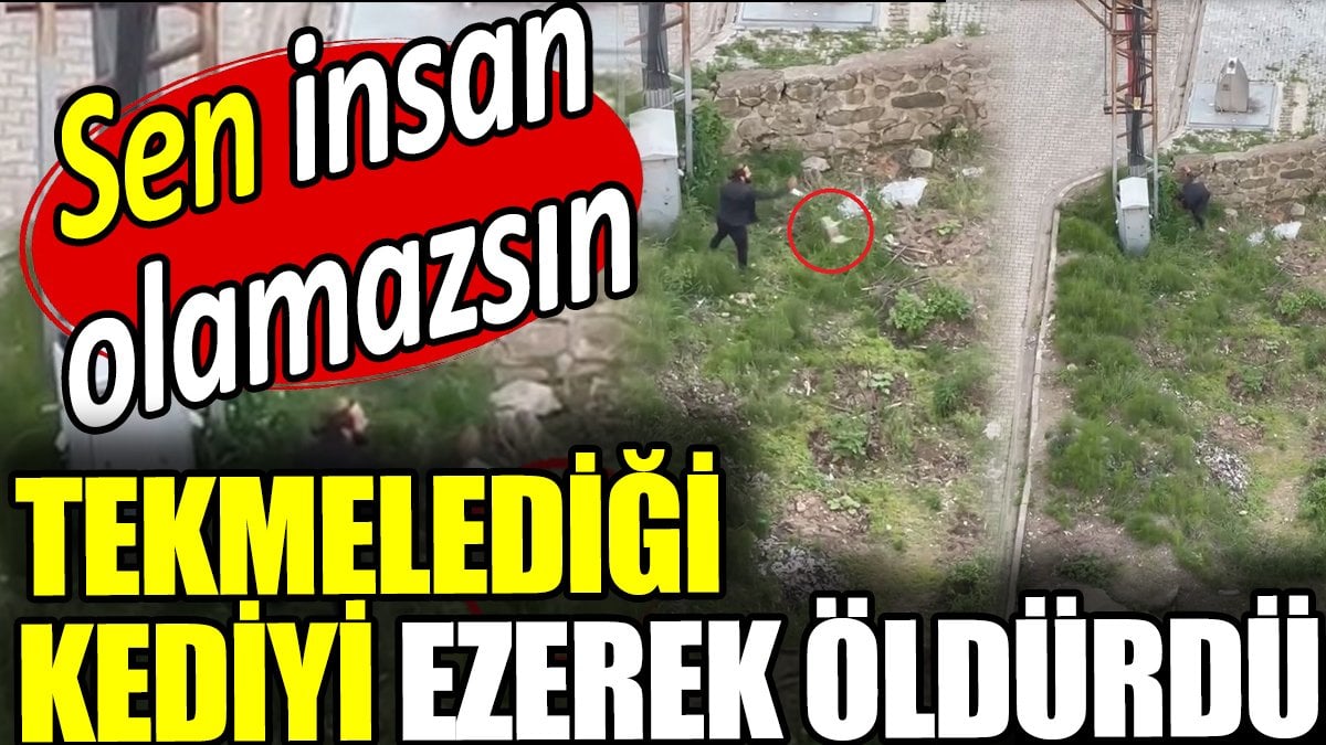 Tekmelediği kediyi ezerek öldürdü. Sen insan olamazsın