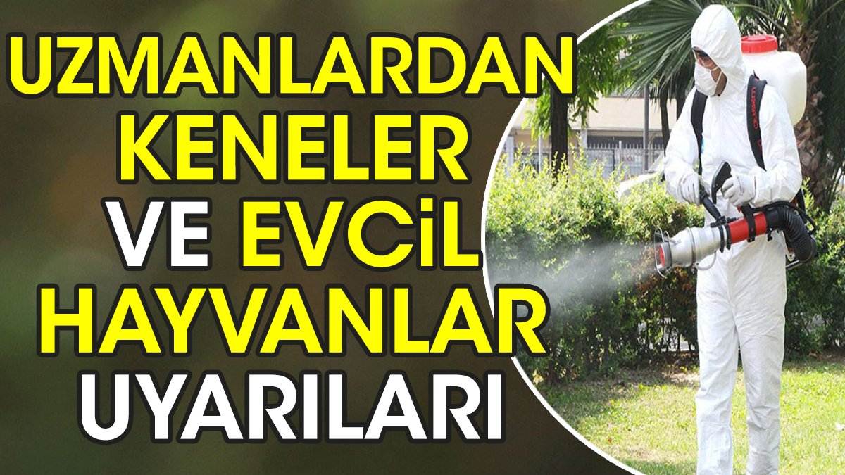 Uzmanlardan keneler ve evcil hayvanlar uyarıları