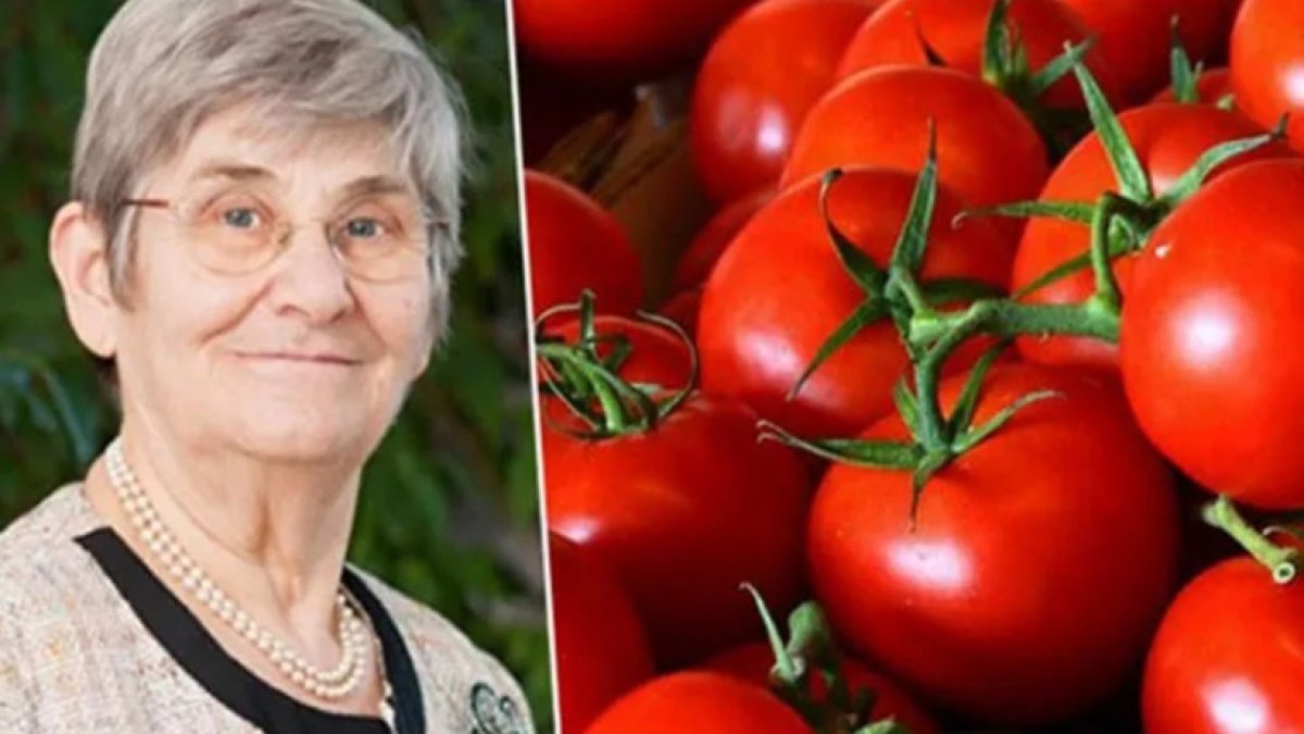 Canan Karatay yıllardır gizlenen domates gerçeğini açıkladı! Birçok kişi yanılmış