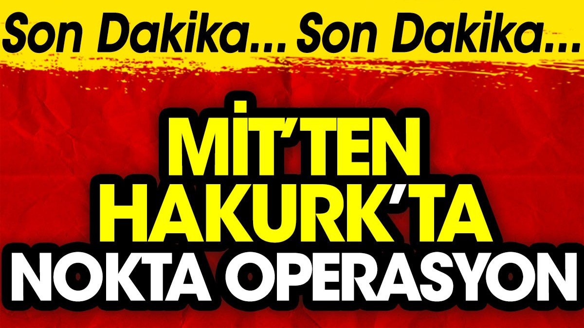 MİT'ten Irak'ta nokta operasyon