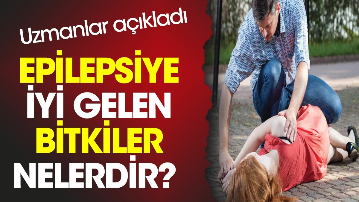 Epilepsiye iyi gelen bitkiler nelerdir? Uzmanlar açıkladı