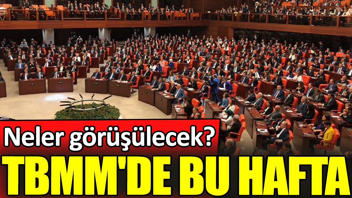 TBMM'de bu hafta: Neler görüşülecek?