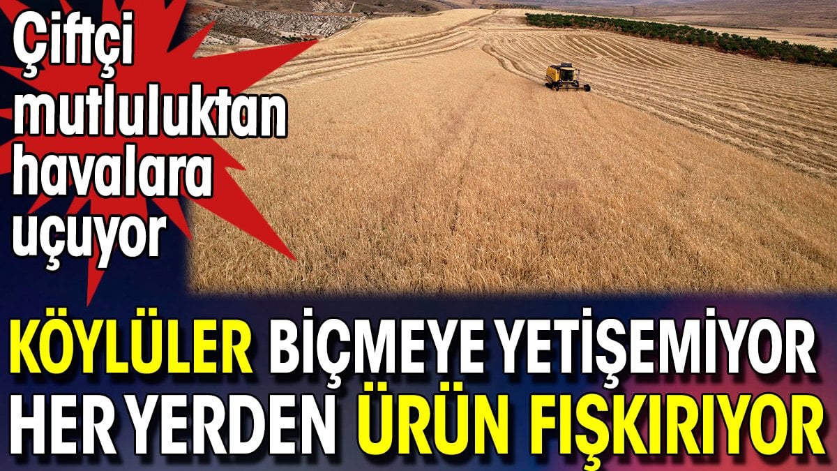 Köylüler biçmeye yetişemiyor her yerden ürün fışkırıyor. Çiftçi mutluluktan havalara uçuyor