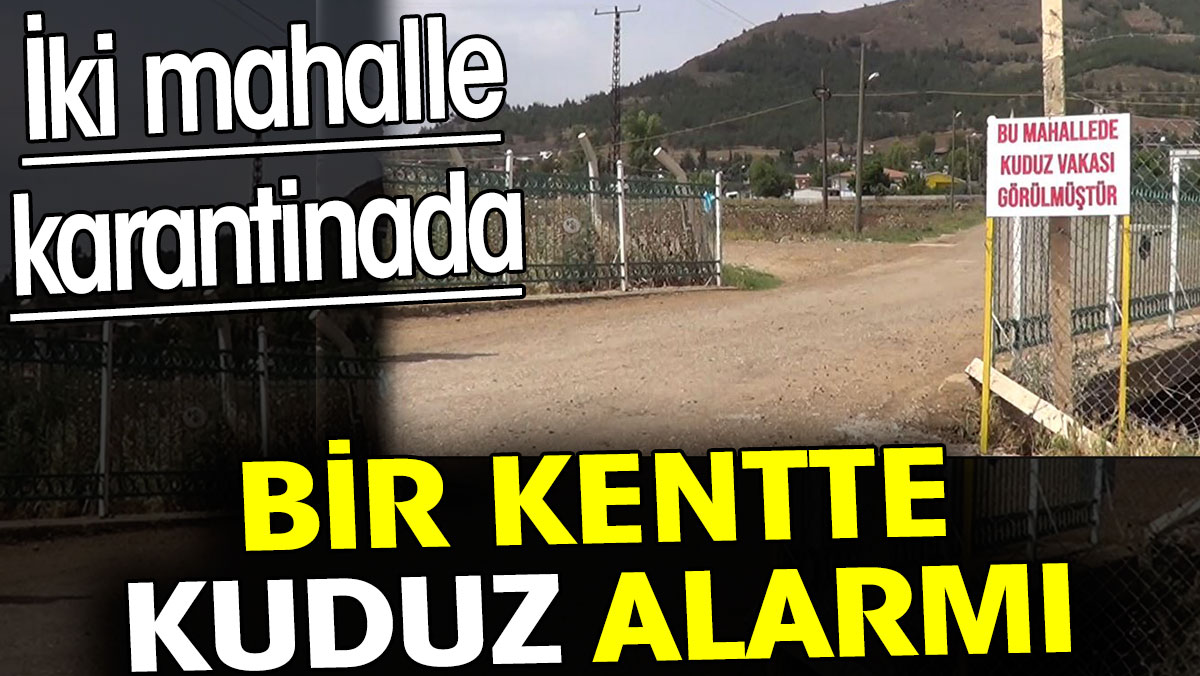 Kuduz alarmı. İki mahalle karantinada