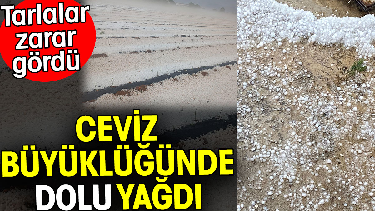 Denizli’de ceviz büyüklüğünde dolu yağdı