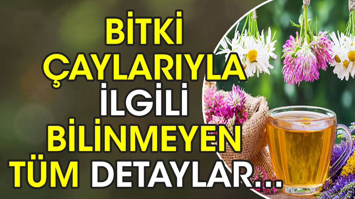 Bitki çayları nasıl kullanılmalı? Kimler tüketebilir kimler tüketemez? Ölümcül mü?