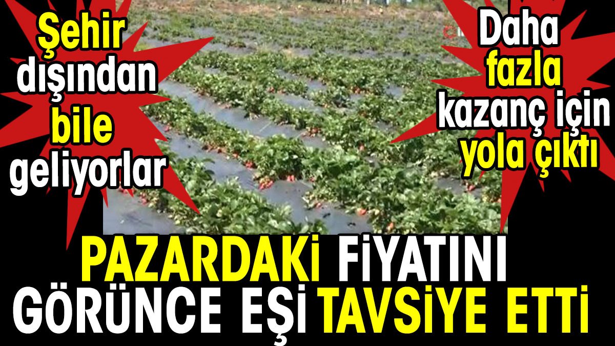 Pazardaki fiyatını görünce eşi tavsiye etti. Daha fazla kazanç için yola çıktı