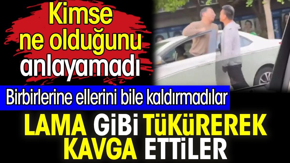 Lama gibi tükürerek kavga ettiler. Birbirlerine ellerini bile kaldırmadılar. Kimse ne olduğunu anlayamadı