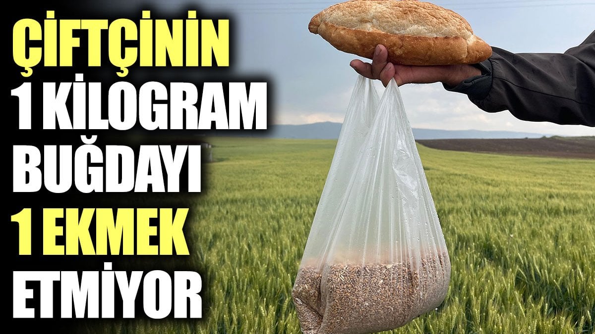 Çiftçinin 1 kilogram buğdayı 1 ekmek etmiyor